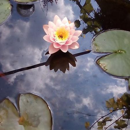 House Of Flowers Hotel Ahtopol Luaran gambar